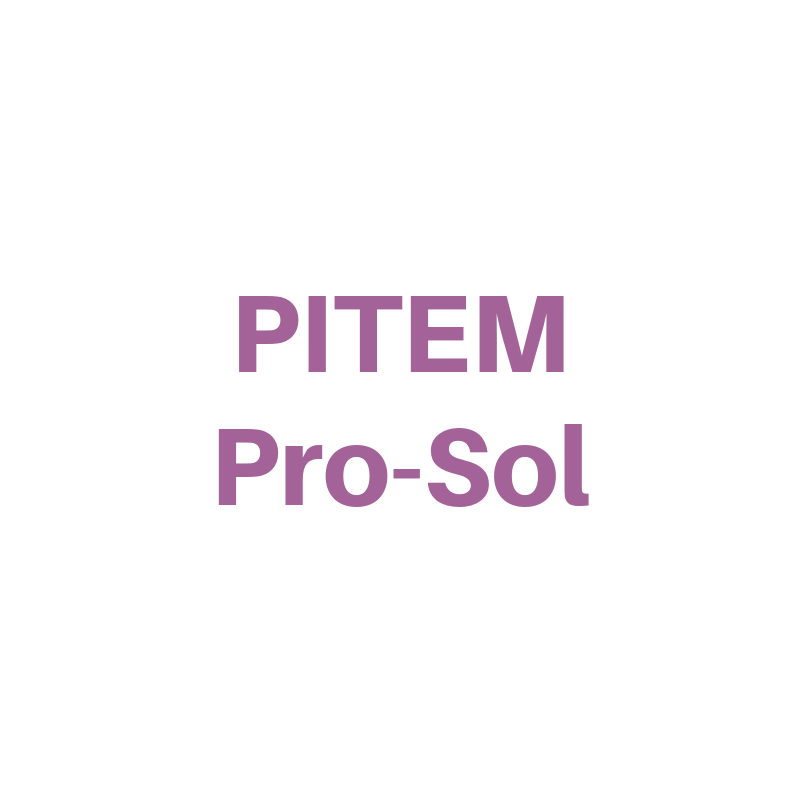 logo pitem prosol