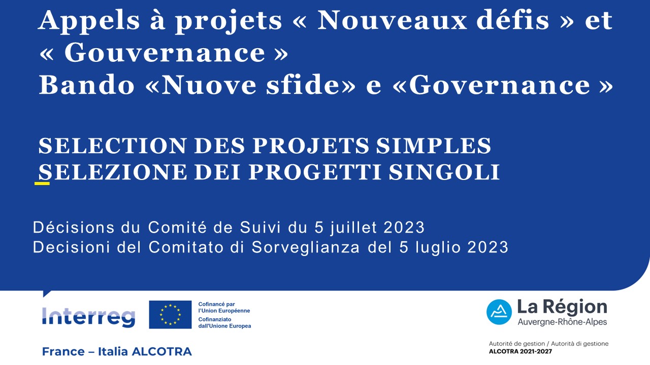 projets sélectionnés nouveaux défis et gouvernance