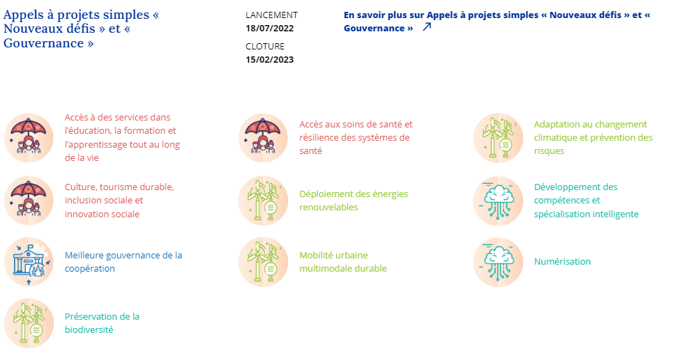 APPELS A PROJETS SIMPLES « NOUVEAUX DEFIS » ET « GOUVERNANCE » 