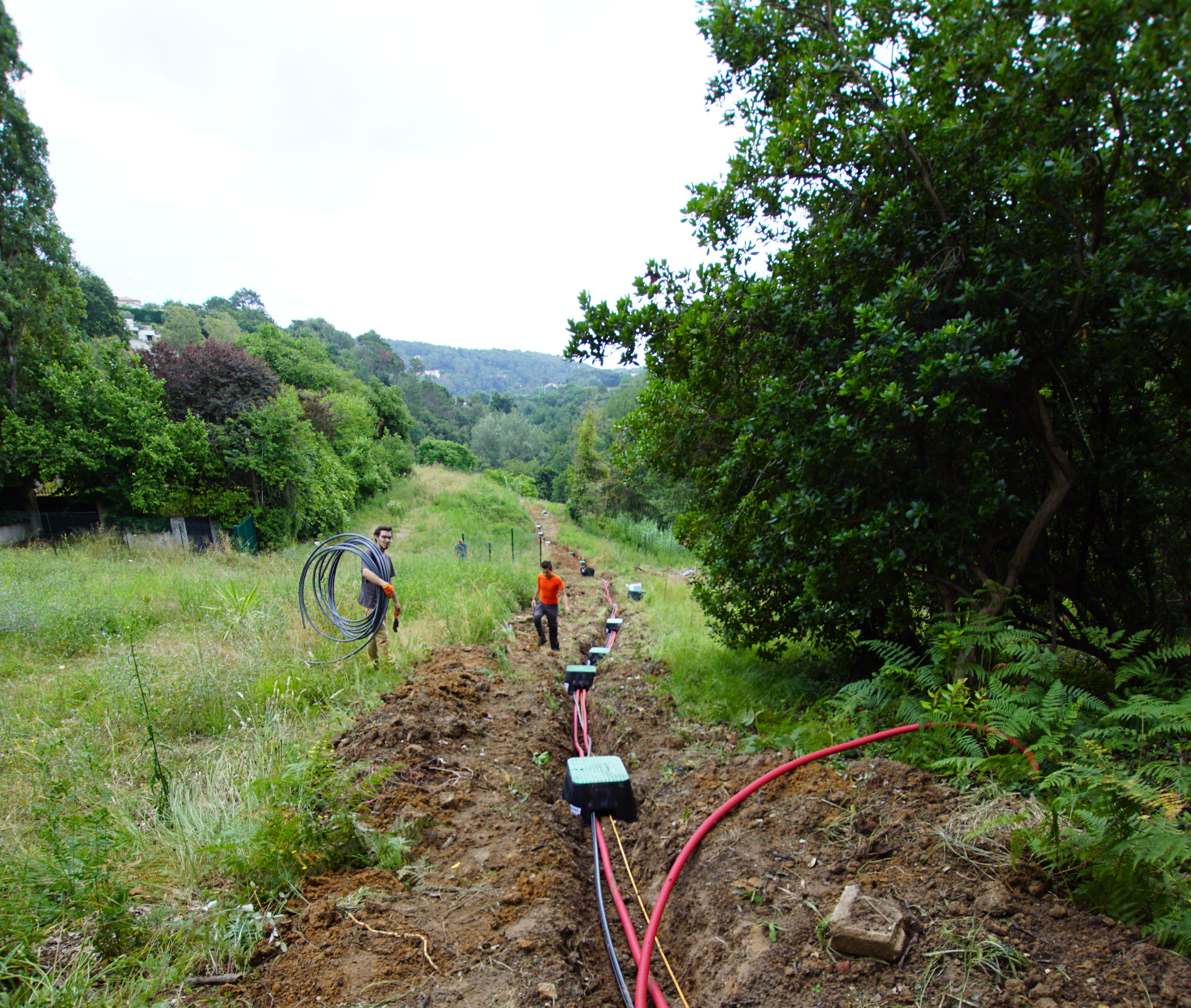 chemin de campagne