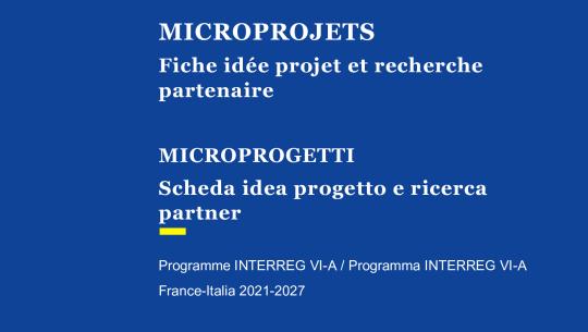 Fiche idée projet et recherche partenaire