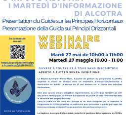 [WEBINAIRE] Présentation du guide aux principes horizontaux