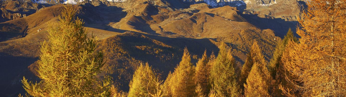 Montagne en automne